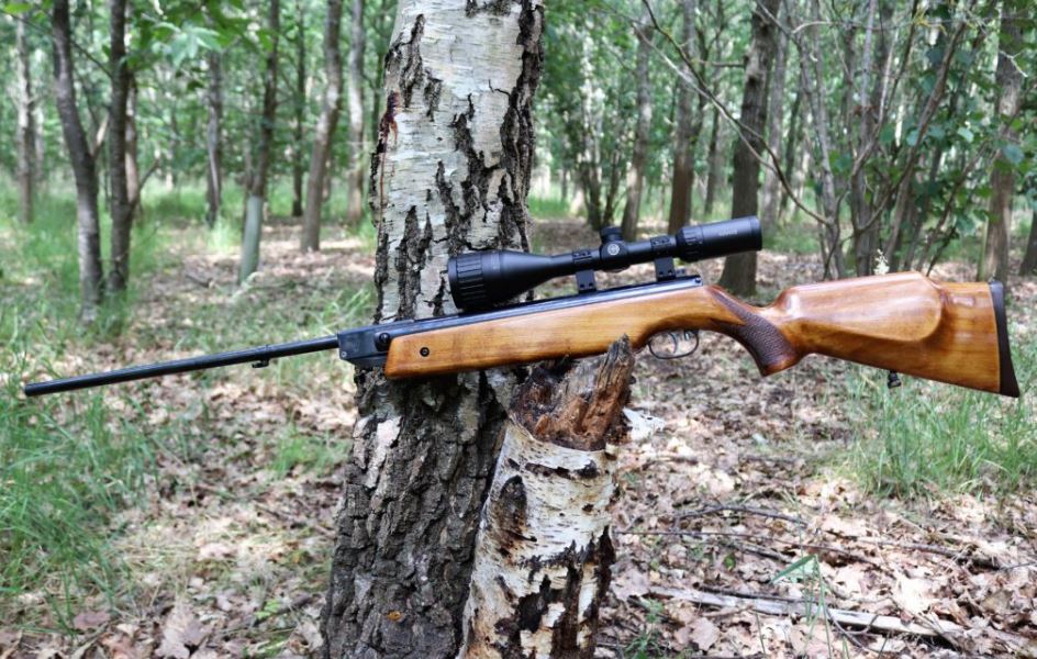 Best Air Rifles For Hunting Squirrels